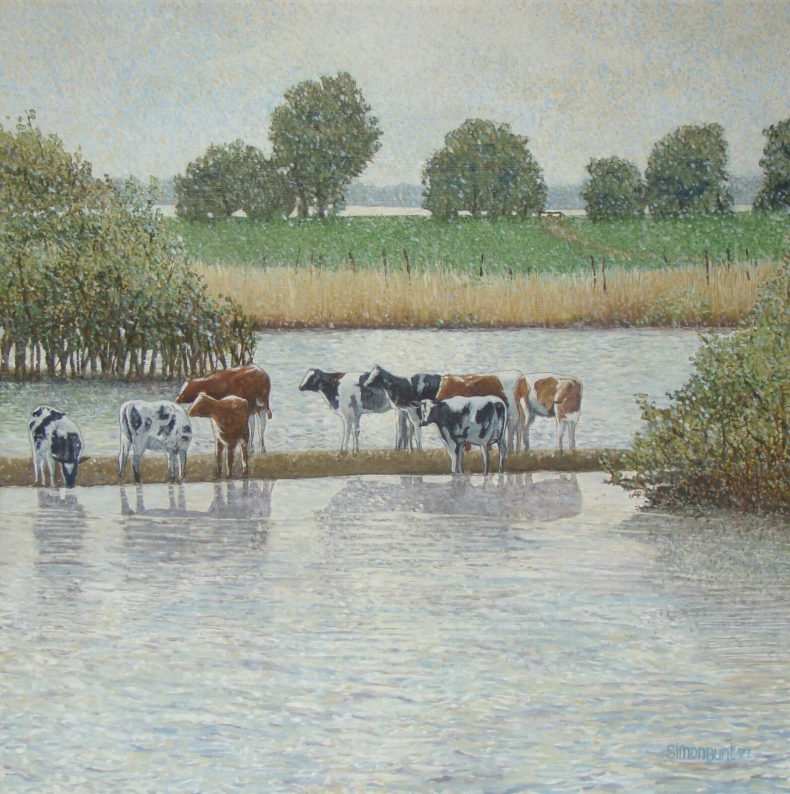 Frisian landscape